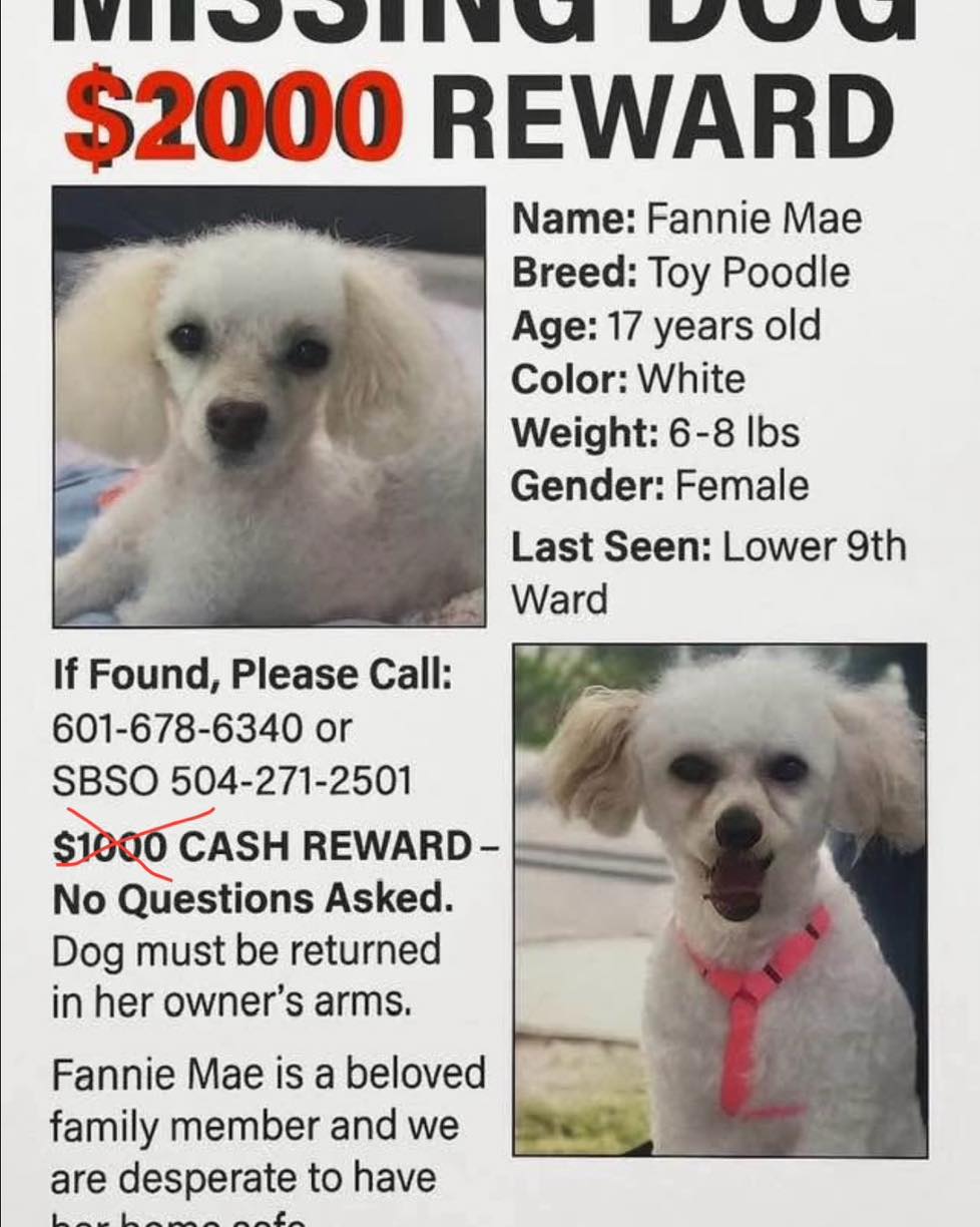 PLEASE SHARE: REWARD INCREASED TO $2,000