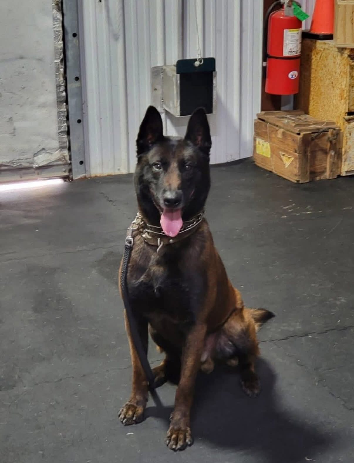 The Orleans Parish Sheriff’s Office is heartbroken by the loss of our beloved K-9 Rex, who passed aw