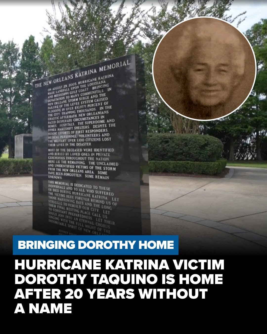 A single dried rose was resting on Dorothy's casket when investigators exhumed her remains from the