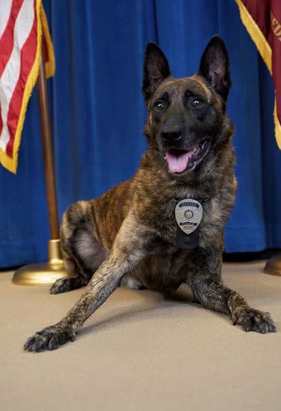 Today, we mourn the loss of retired K-9 Bas, a loyal partner, fearless protector, and cherished memb